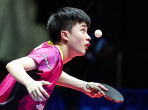 林昀儒参加学术活动