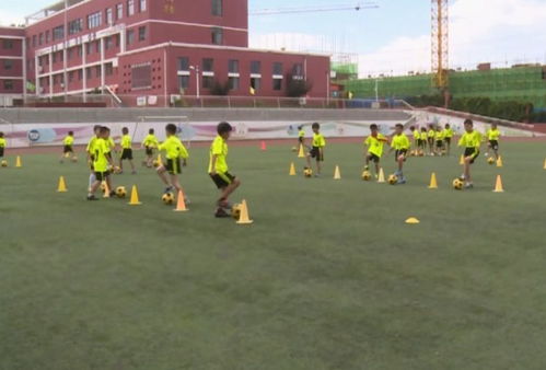 山东一小学生报到，惊艳名字引热议，古风盛行，‘子涵’过气了？