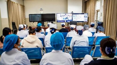 医护人员认真学习