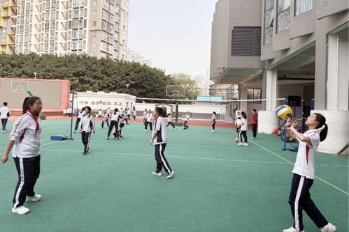 校园里的运动氛围