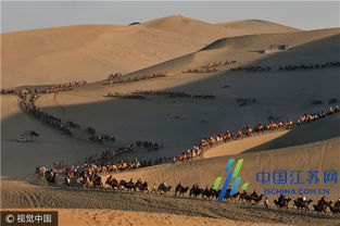 上合组织峰会：习近平主席的全球治理新思路引领未来