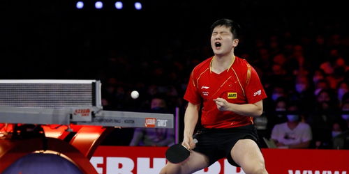 樊振东站在领奖台上