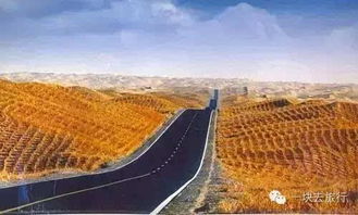 新疆小伙骑摩托3500公里赴郑州上学，这趟旅程太酷啦😎