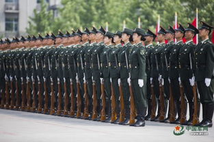 揭秘！阅兵方队队列整齐背后的“三兵”秘密