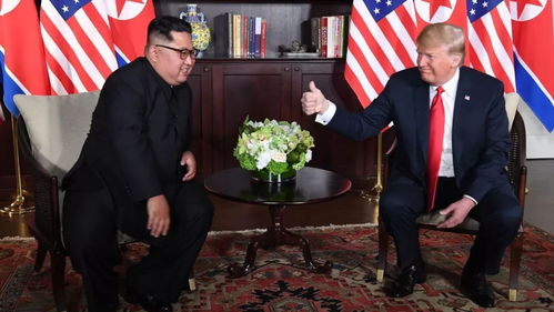 习近平同普京会谈，深度解读中俄关系新走向！