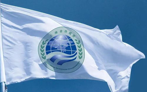 各国参与上合组织