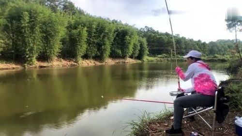 夕阳下的钓友归来