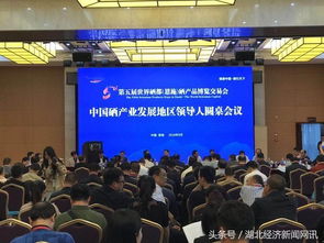 多国领导人圆桌会议