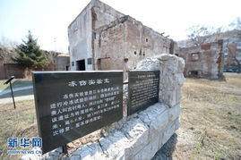 731少年班的惊天罪恶真相大揭秘