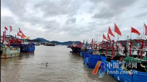 开海第一网捞8000斤！船长笑得合不拢嘴