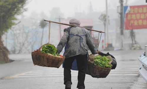 中央农办出手！农村高额彩礼整治迎来新进展
