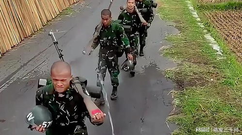 东施效颦？细数中越军事力量那些事儿