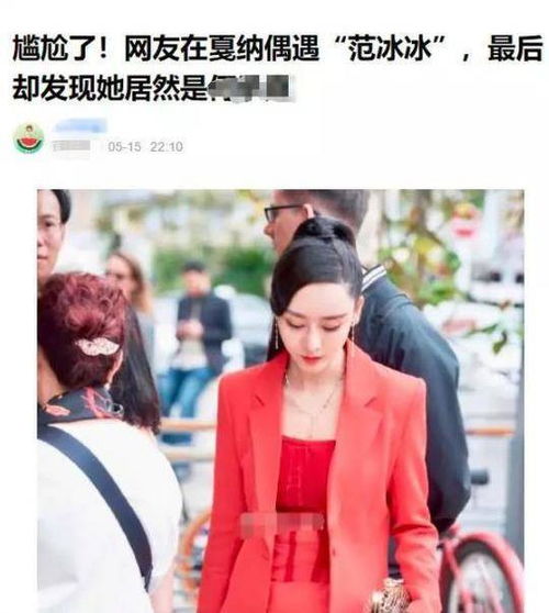 西方媒体关于峰会的报道