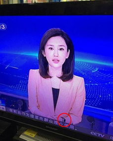 NHK前中国籍员工因钓鱼岛言论被判赔巨款，背后故事引关注