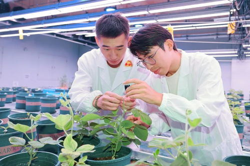 科研人员工作场景