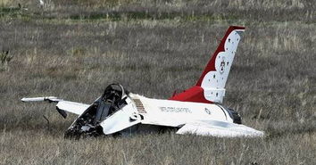 埃文凯尔看受阅飞机：被深深震撼