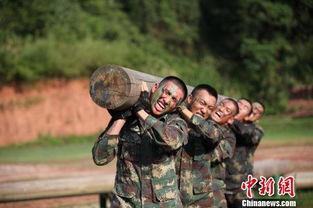 士兵烈日下训练变阵