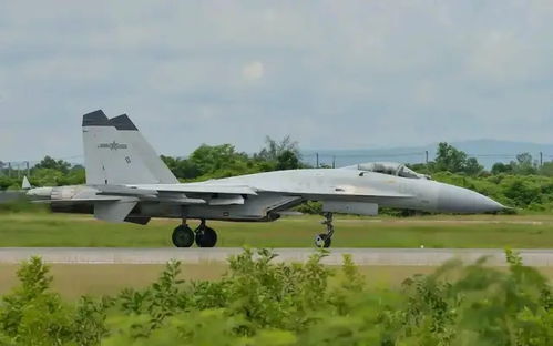 歼 - 20S 特技飞行