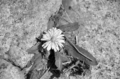 外籍记者眼中的中国温情故事