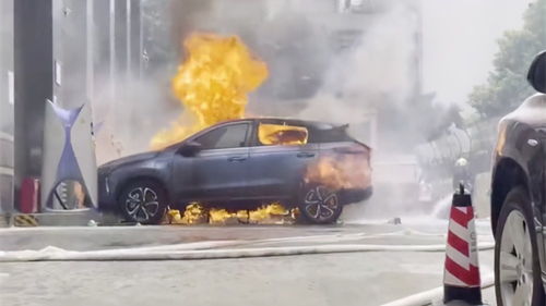 8月零跑小鹏销量猛增，车市‘金九’行情可期