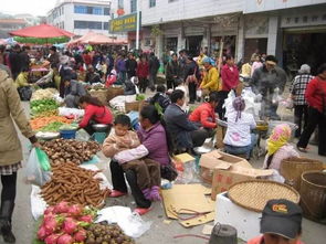热料局现场氛围火爆