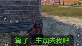 战火纷飞后的和平景象