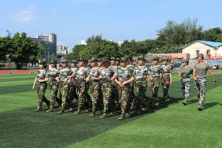 士兵们在认真训练