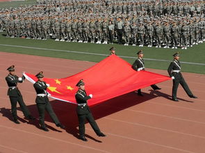 他们在风中依然保持着整齐的步伐