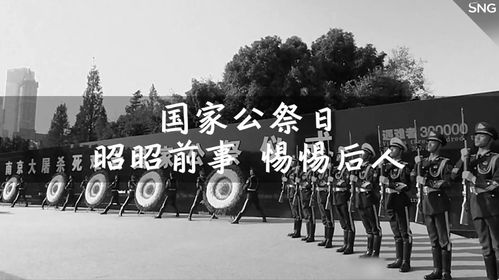 毕业典礼现场放飞和平鸽