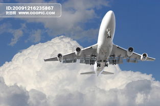 ‘海空卫士’王伟遗孀阅兵现场追忆：他会跟我一起看这盛世