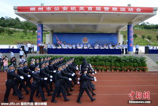 一次性看完！腾讯关联重磅武器大揭秘