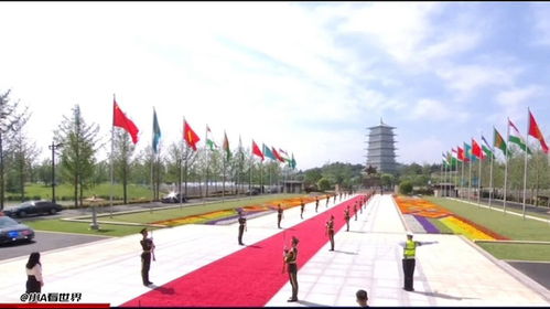 铭记历史，珍视和平——纪念抗战胜利80周年招待会侧记