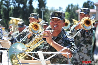 军乐团各种乐器有序排列