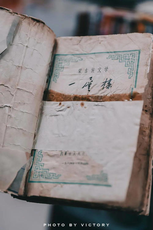 铭记伟大历史胜利，凝聚正义和平力量！