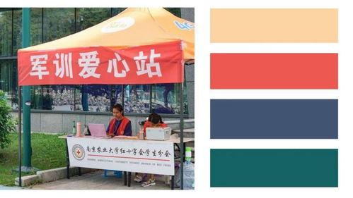 AED竟成摆设？上海女高一军训猝死事件深度剖析