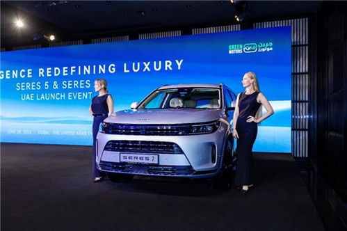 赛力斯汽车市场情况