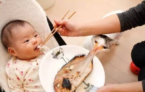 探秘‘养啥死啥’吧，那些令人啼笑皆非的故事