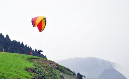 和平鸽背后的15元工资之谜