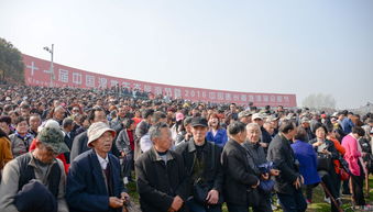 九三大阅兵震撼重现，带你领略阅兵现场的热血瞬间