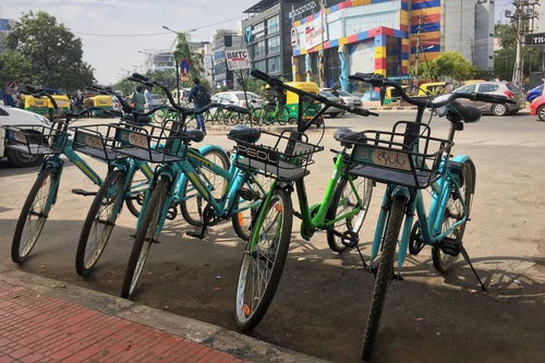 街头的共享单车