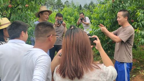 游客们拍照留念