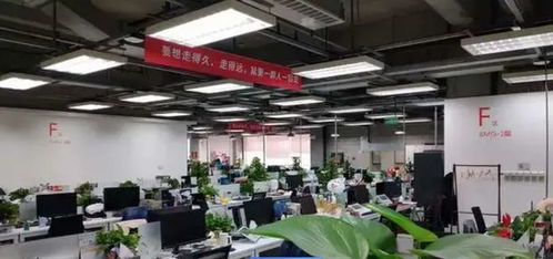 中年人大厂工位背影