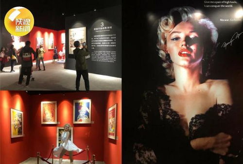 同档期电影对比