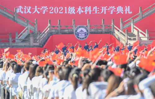 武大开学典礼疑似摆放日本国旗椅？真相令人震惊！