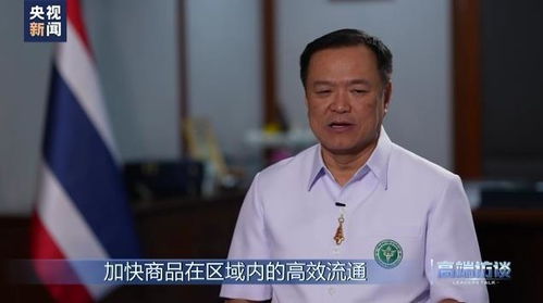 阿努廷当选泰国总理后的照片