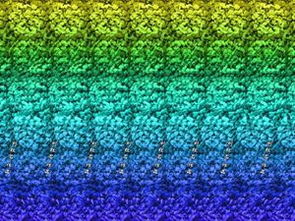 陈希谈ColorOS 16：拒绝拿来主义，流体云带来全新场景