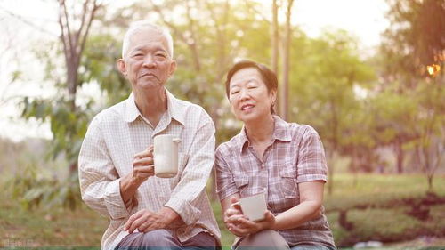 多位80+老人一起研究AI应用