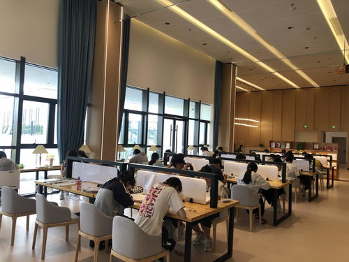 图书馆内学生们认真阅读书籍的画面