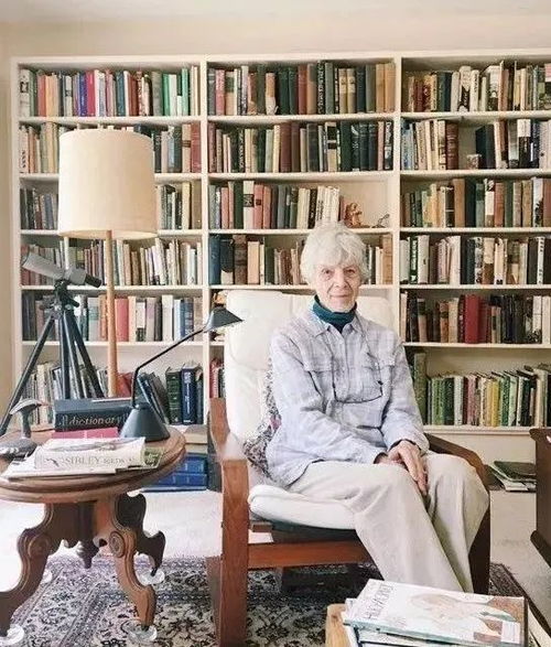 96岁老奶奶用平板操作AI软件