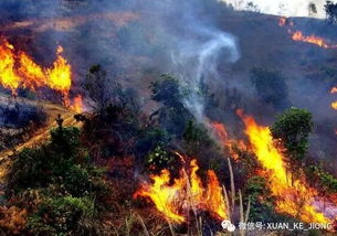 烧纸产生浓烟的画面